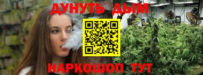 гашик Славгород