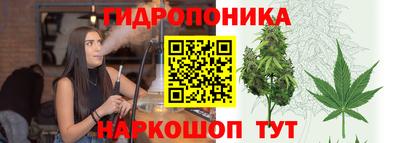 ПСИЛОЦИБИНОВЫЕ ГРИБЫ Среднеуральск